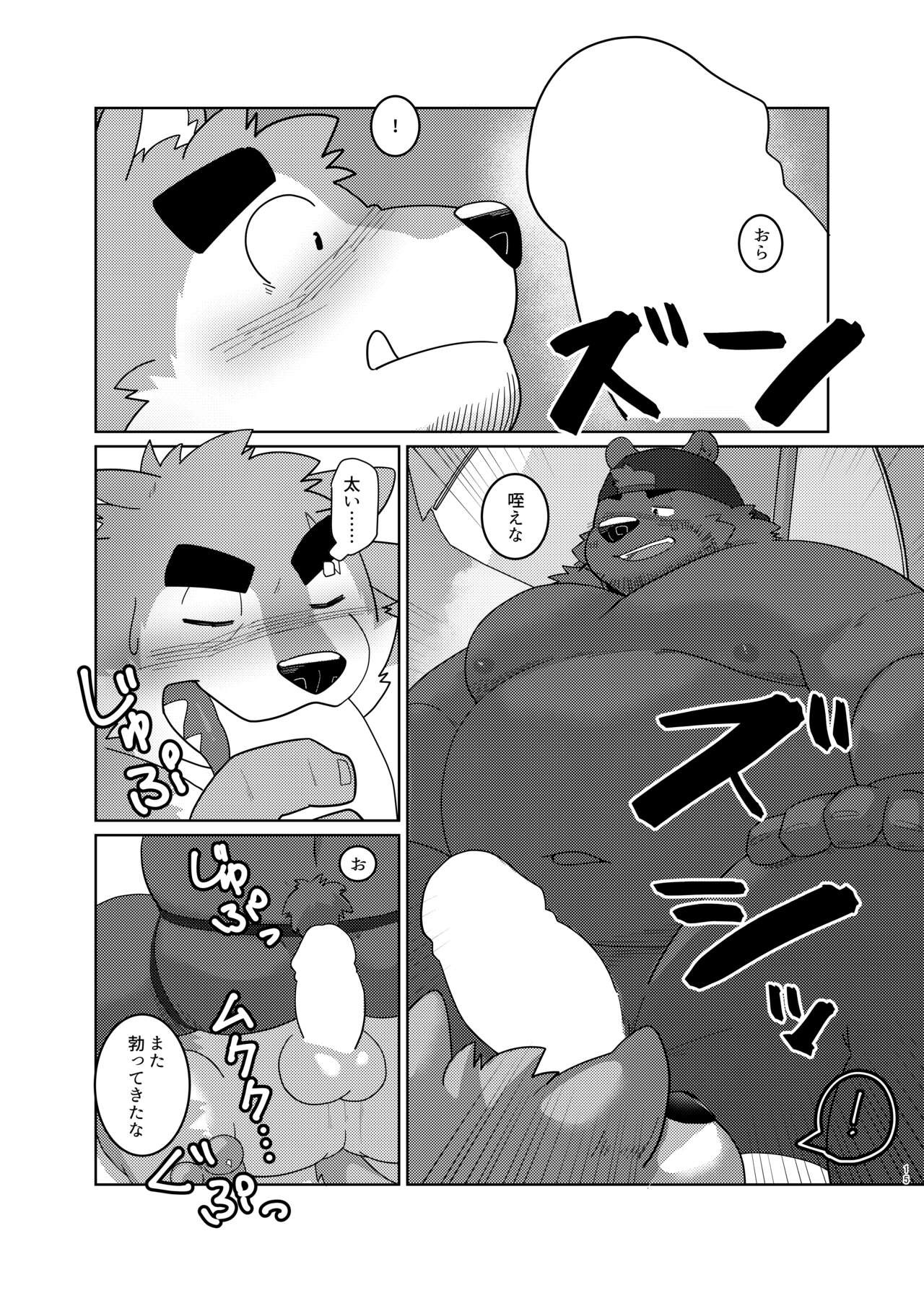 Page 13