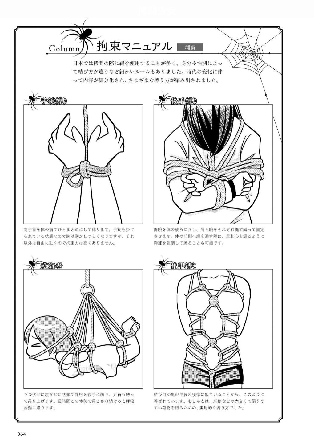 Page 65