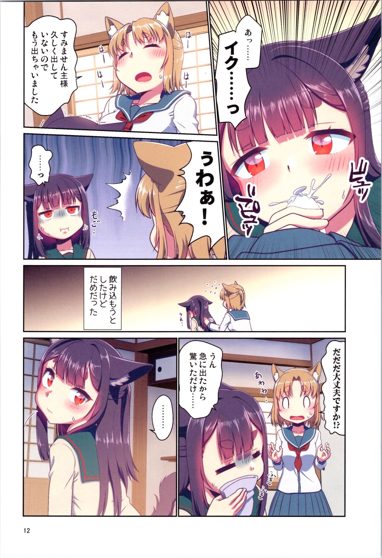 Page 12