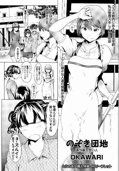 淫乱で清純 とらのあな購入特典4Pリーフレット のぞき団地 番外編 賢い人