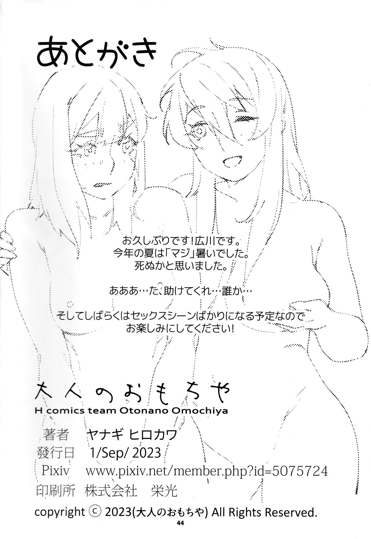 Page 43