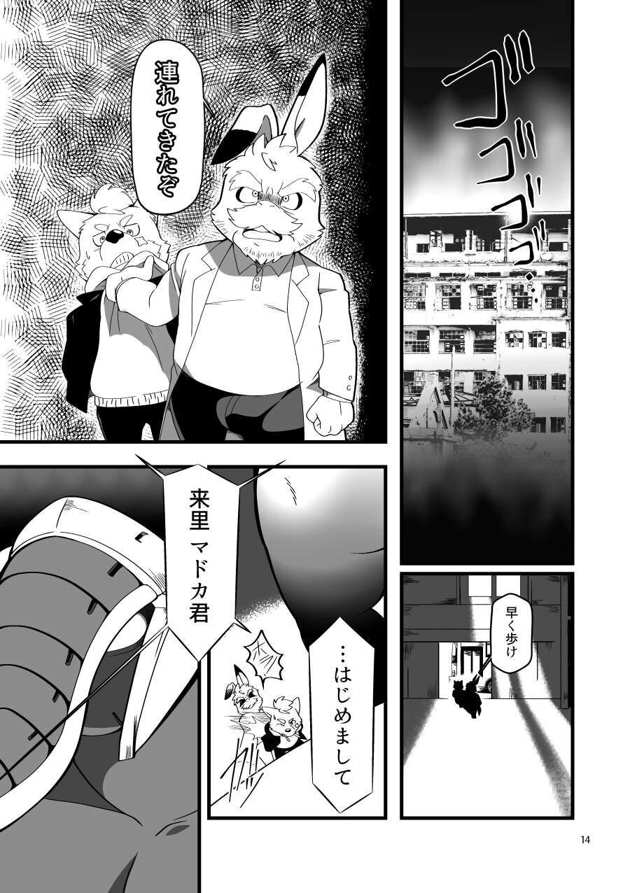 Page 13