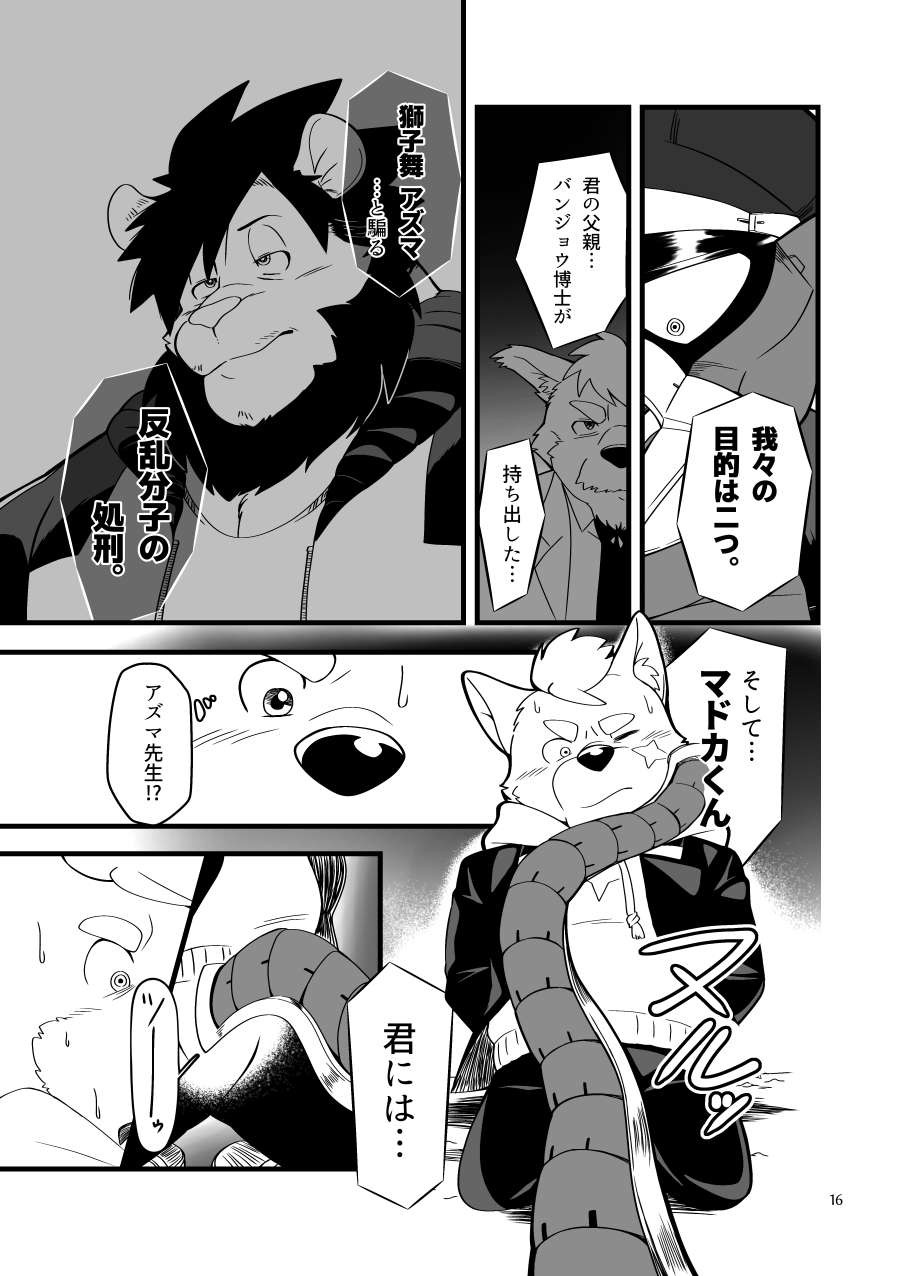 Page 15