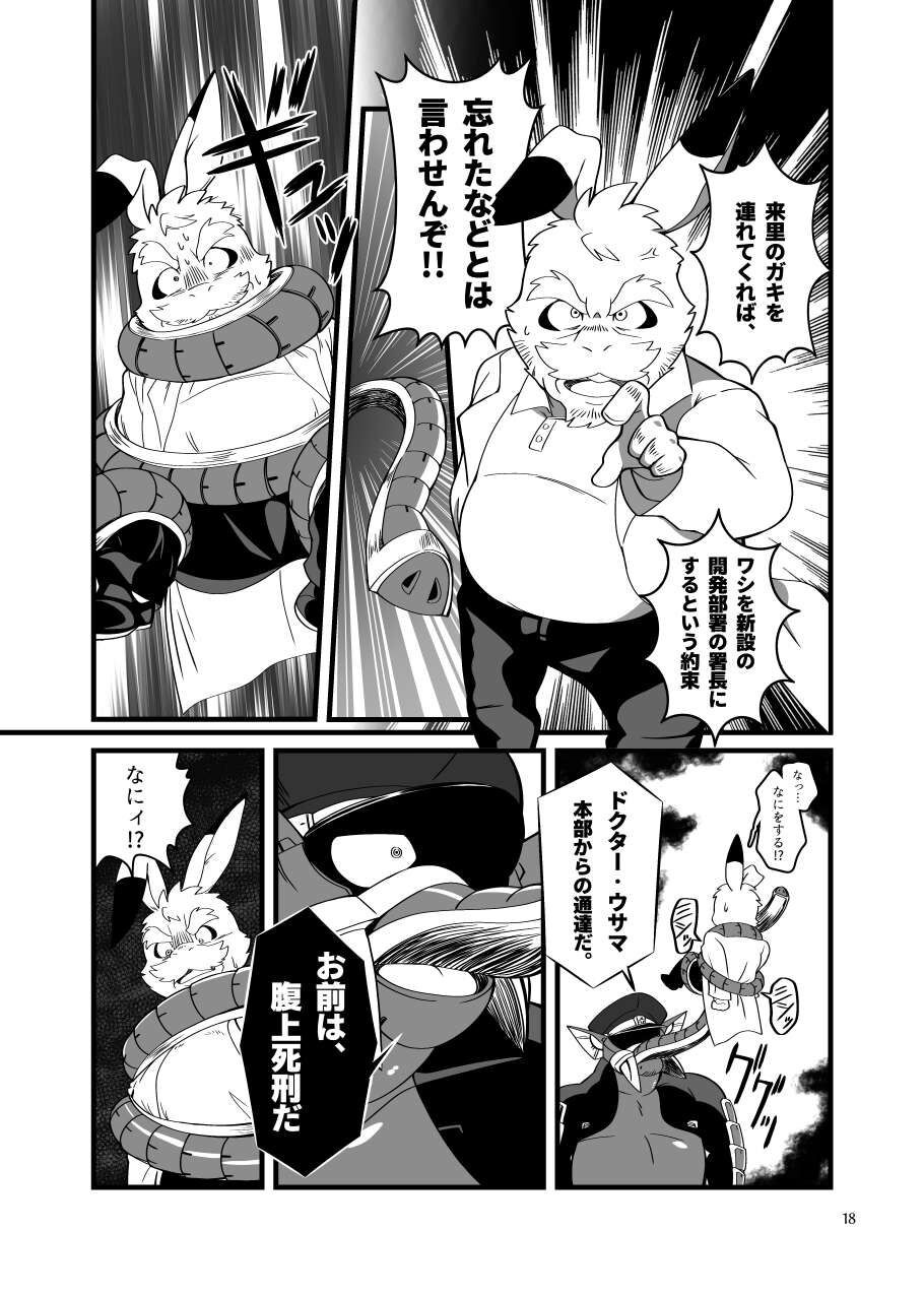 Page 17