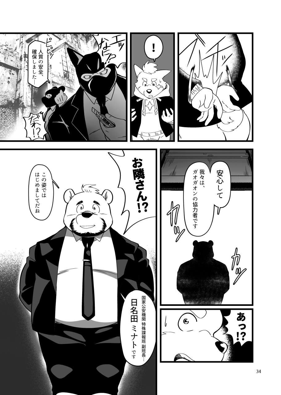Page 33