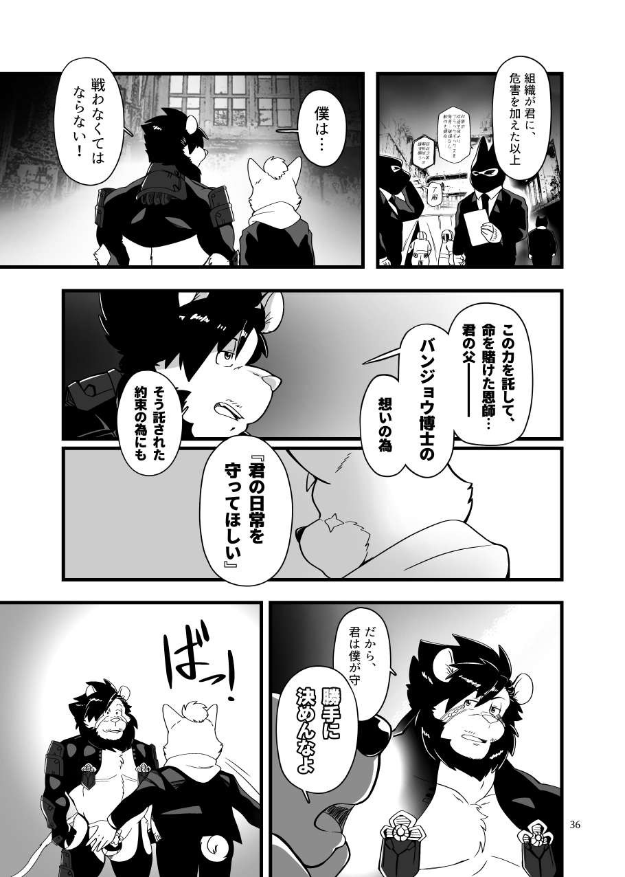 Page 35