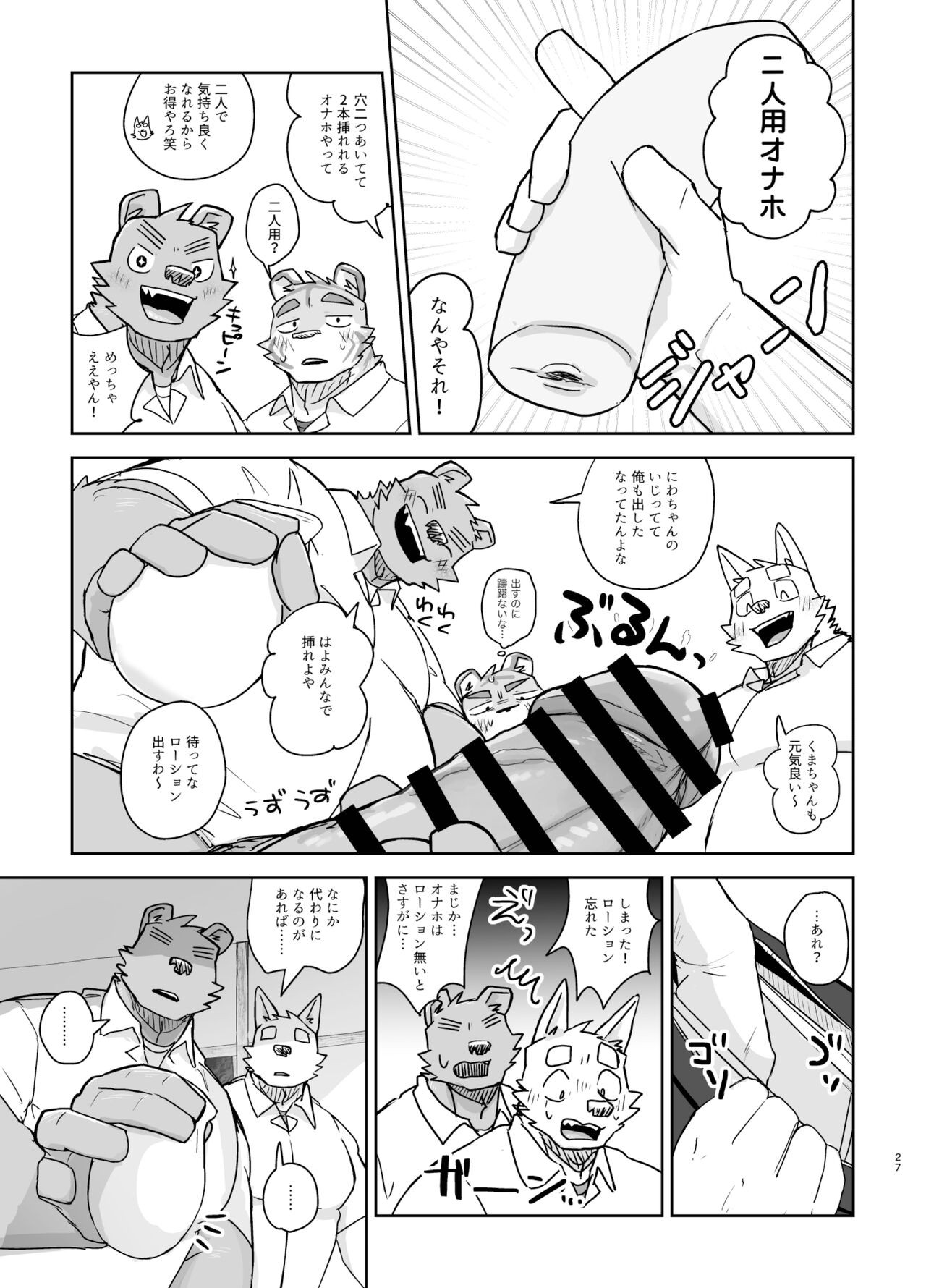 Page 27