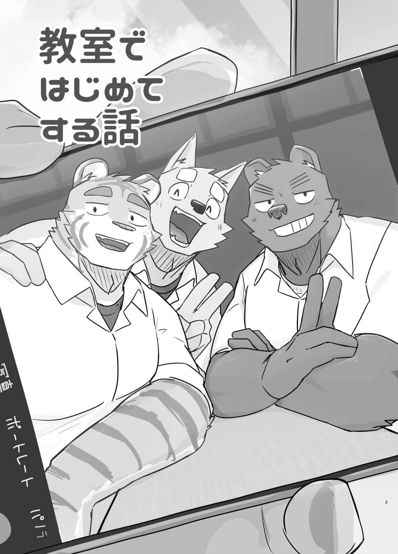Page 3