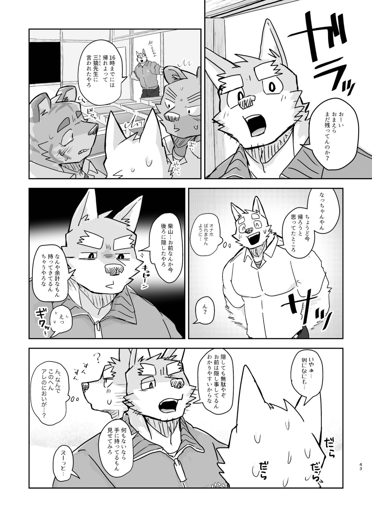 Page 43