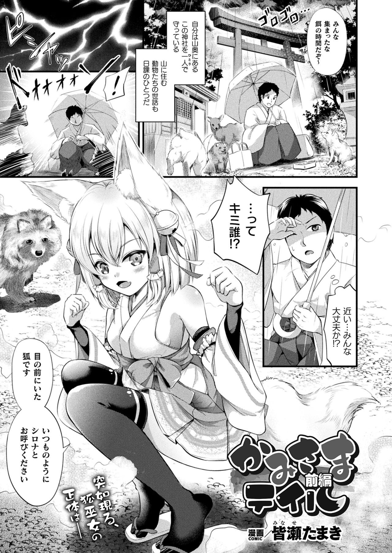 Page 343