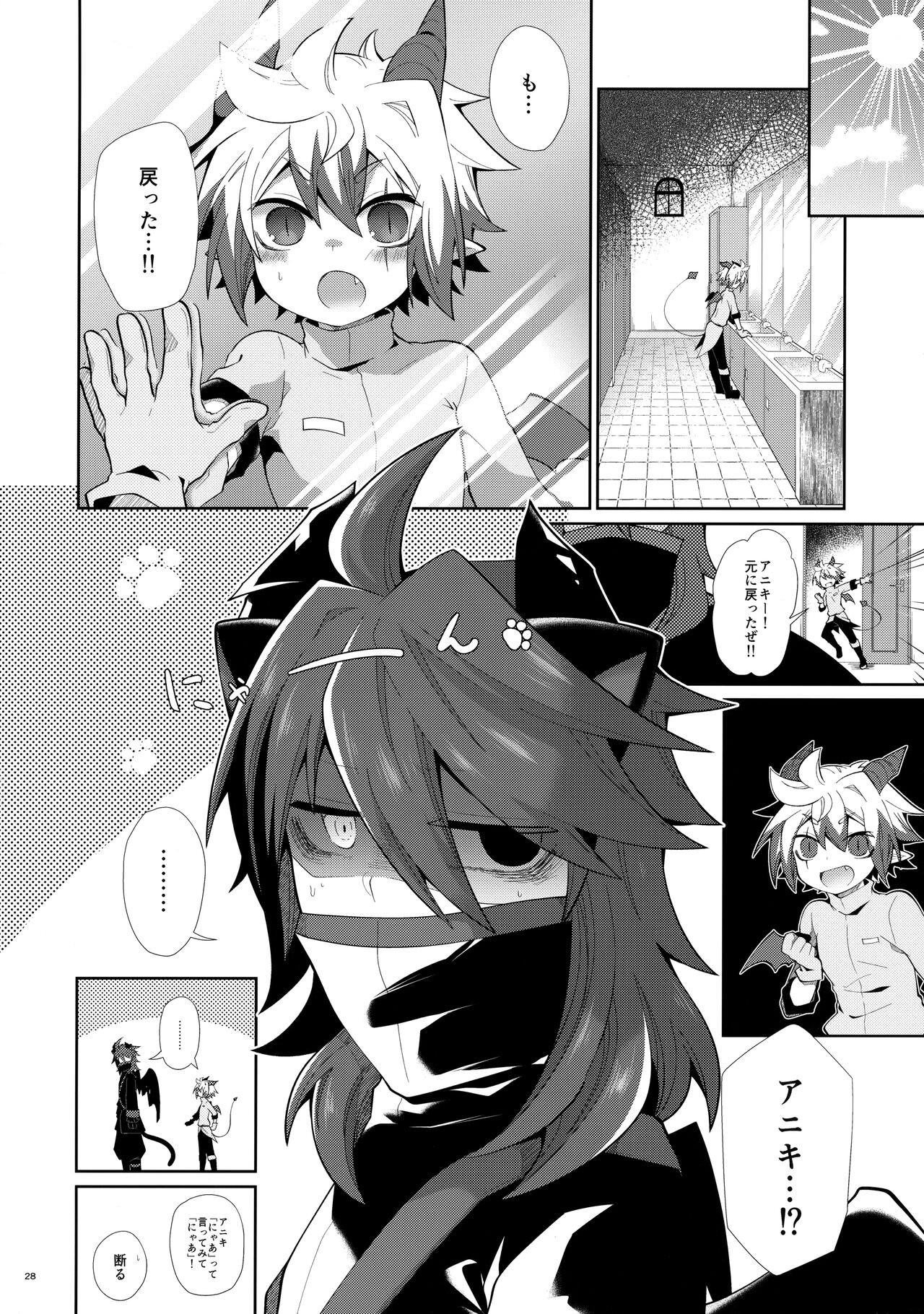 Page 27