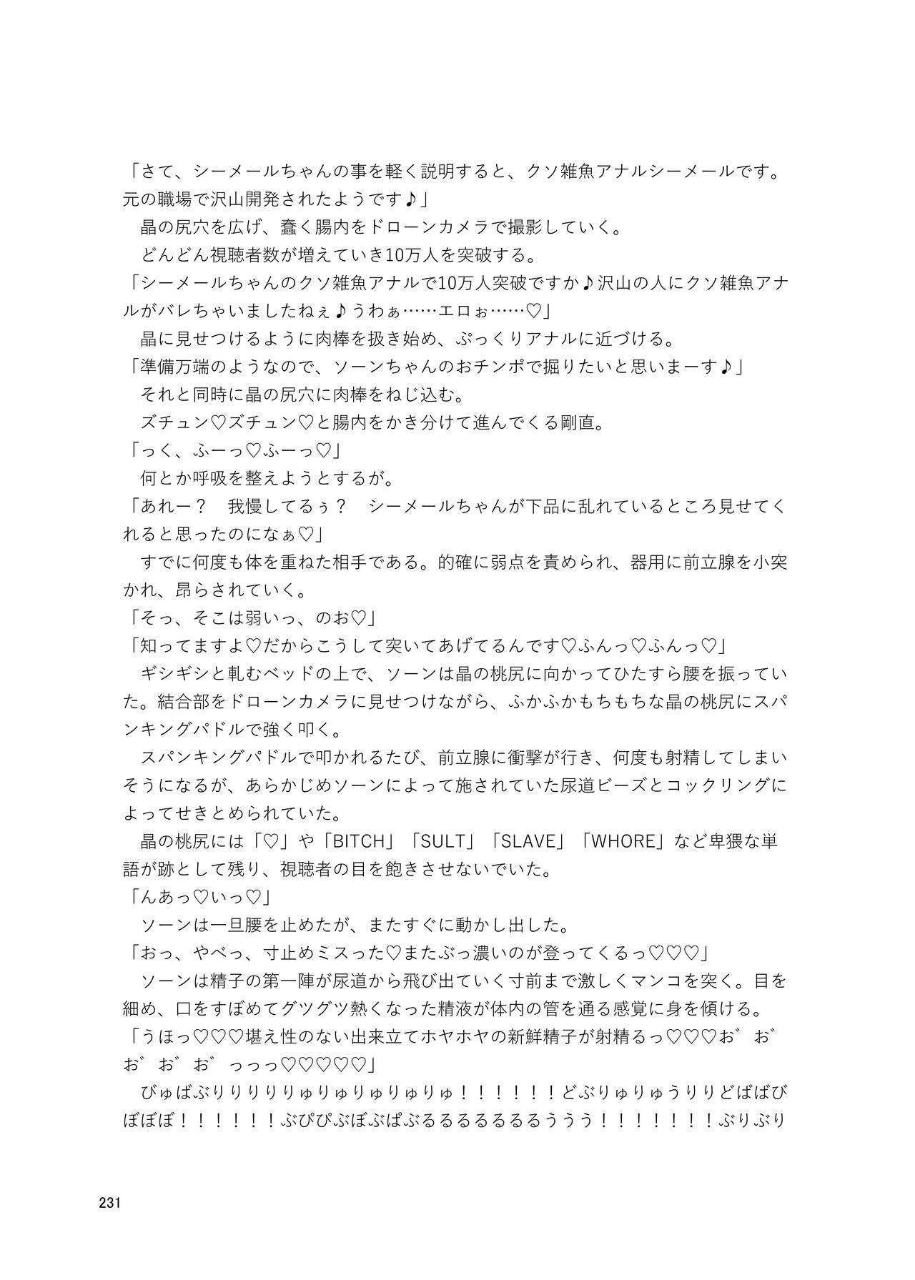Page 231