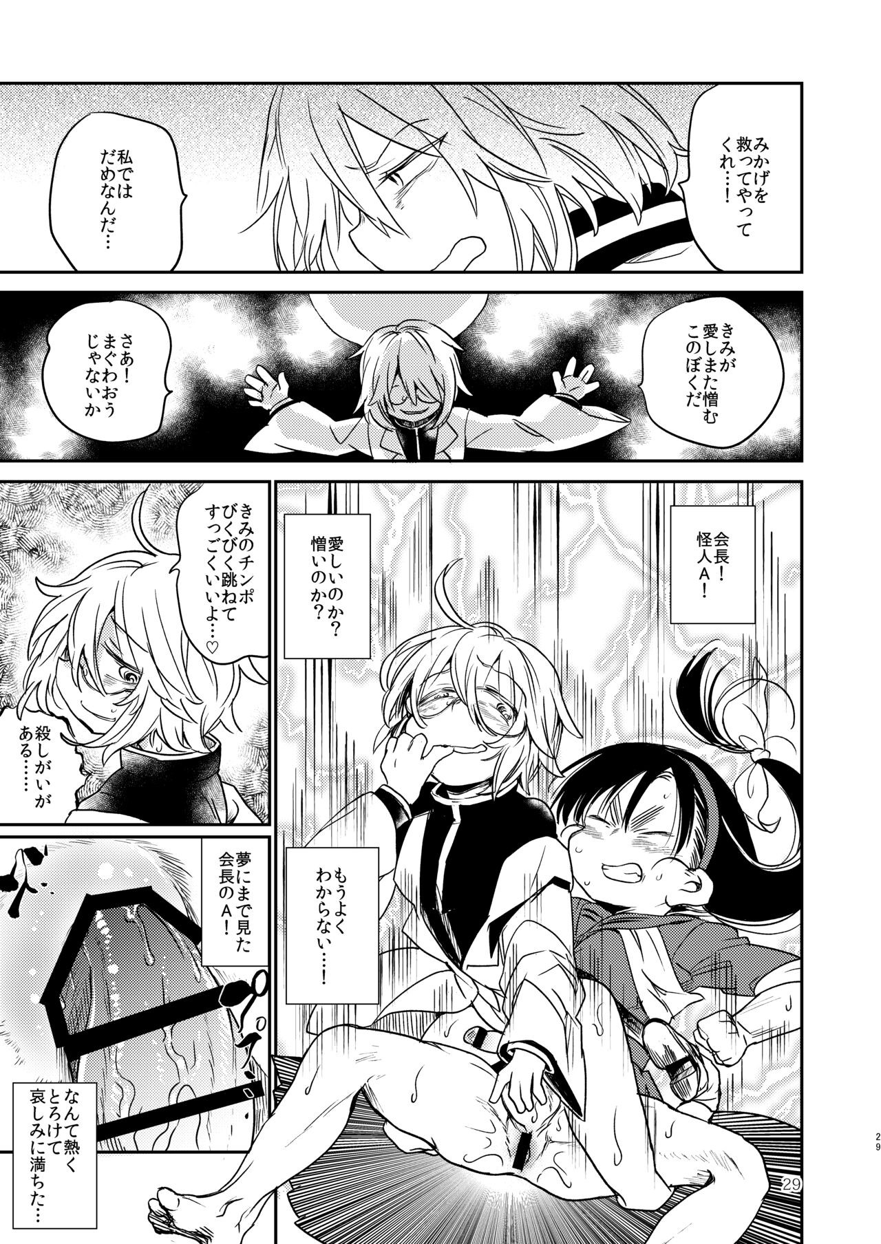 Page 27