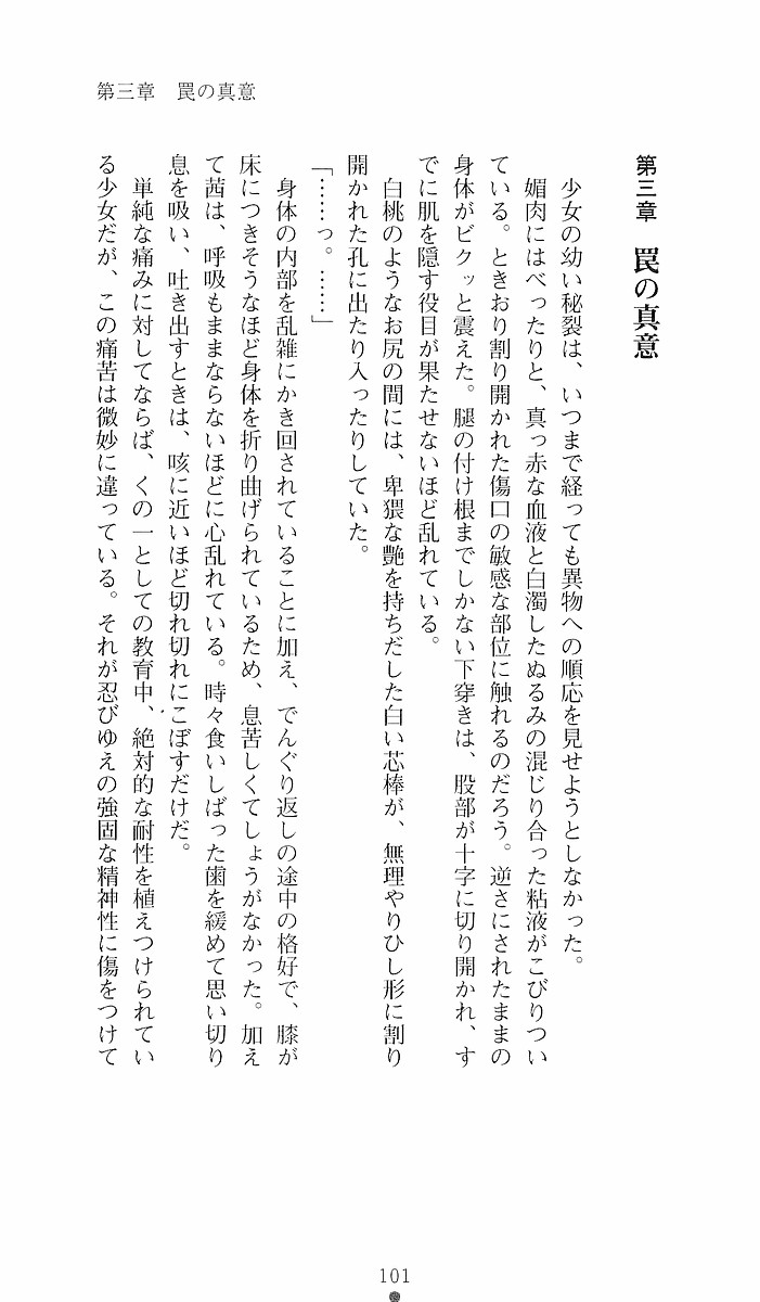 Page 101