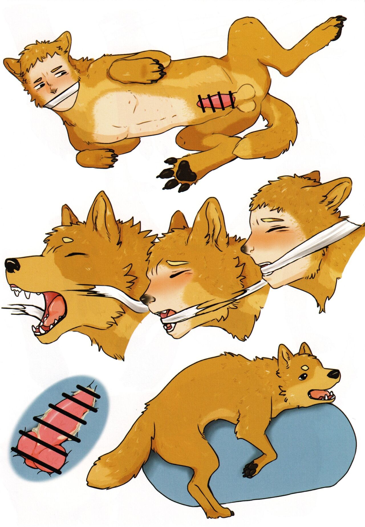 Page 116