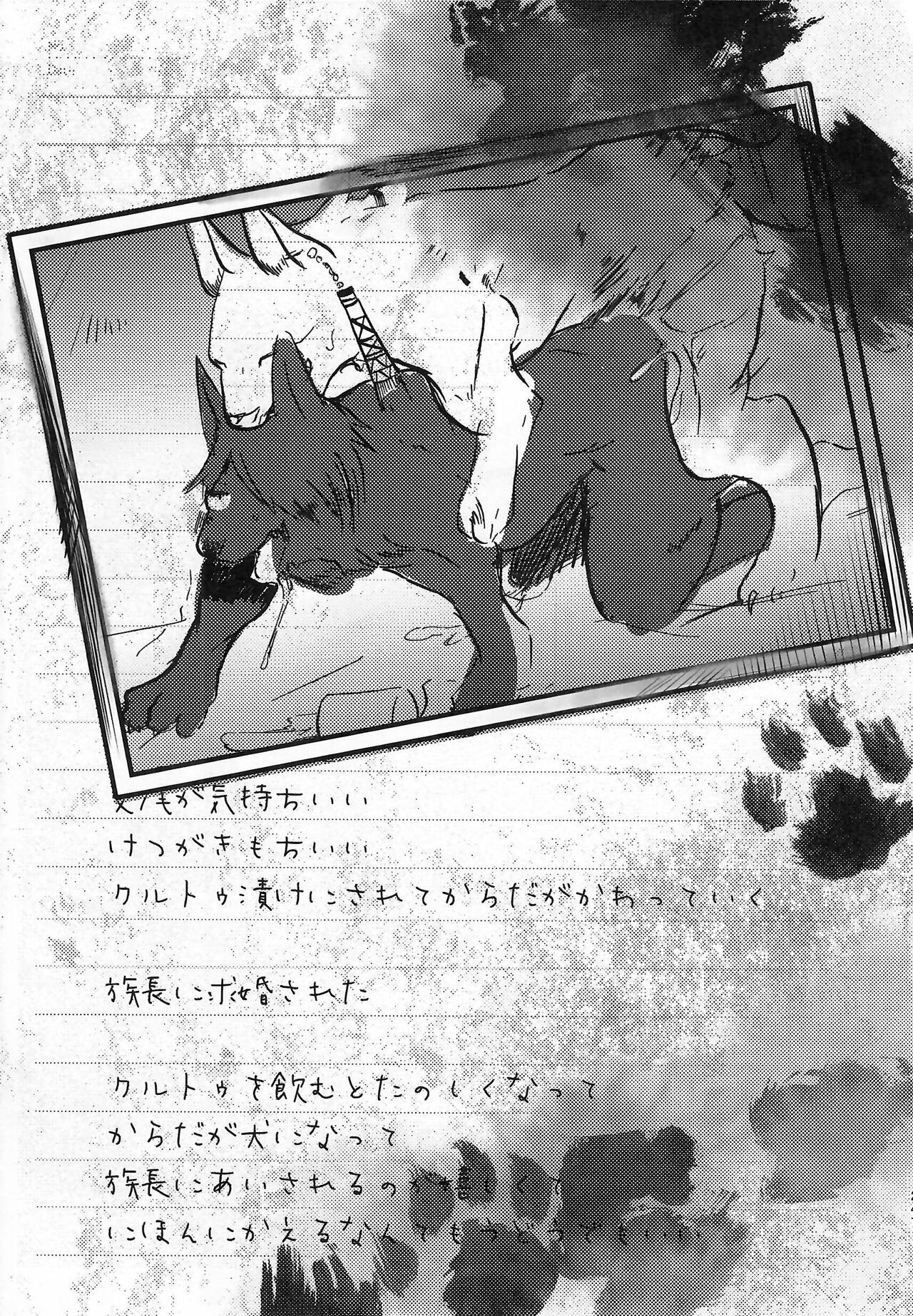 Page 247