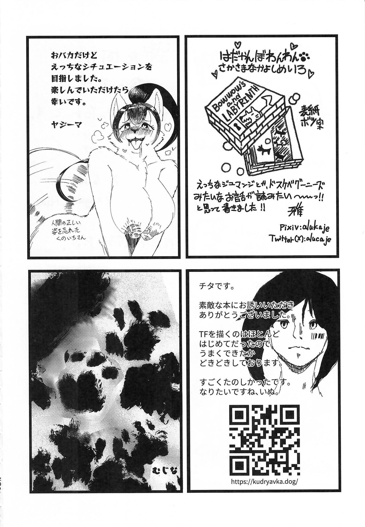 Page 294