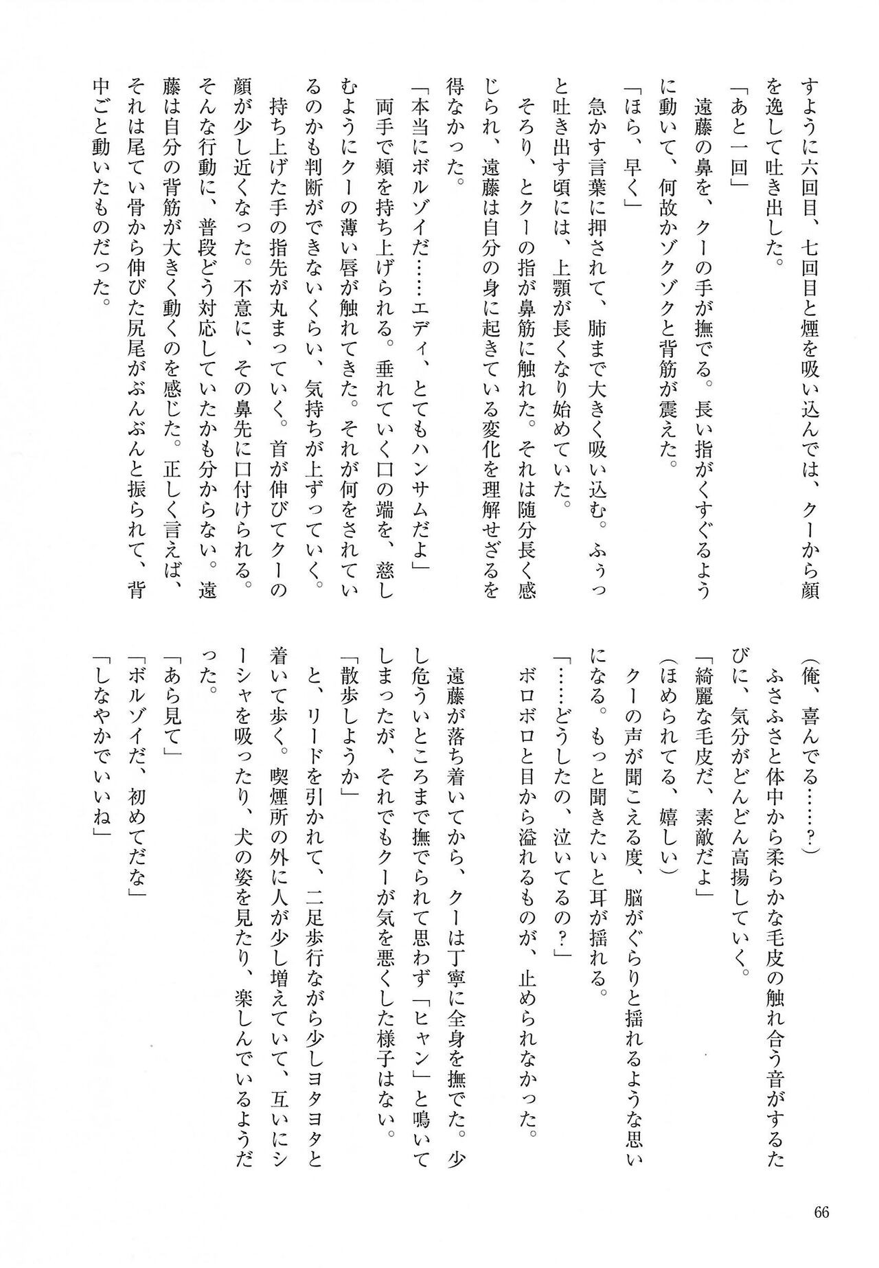 Page 66