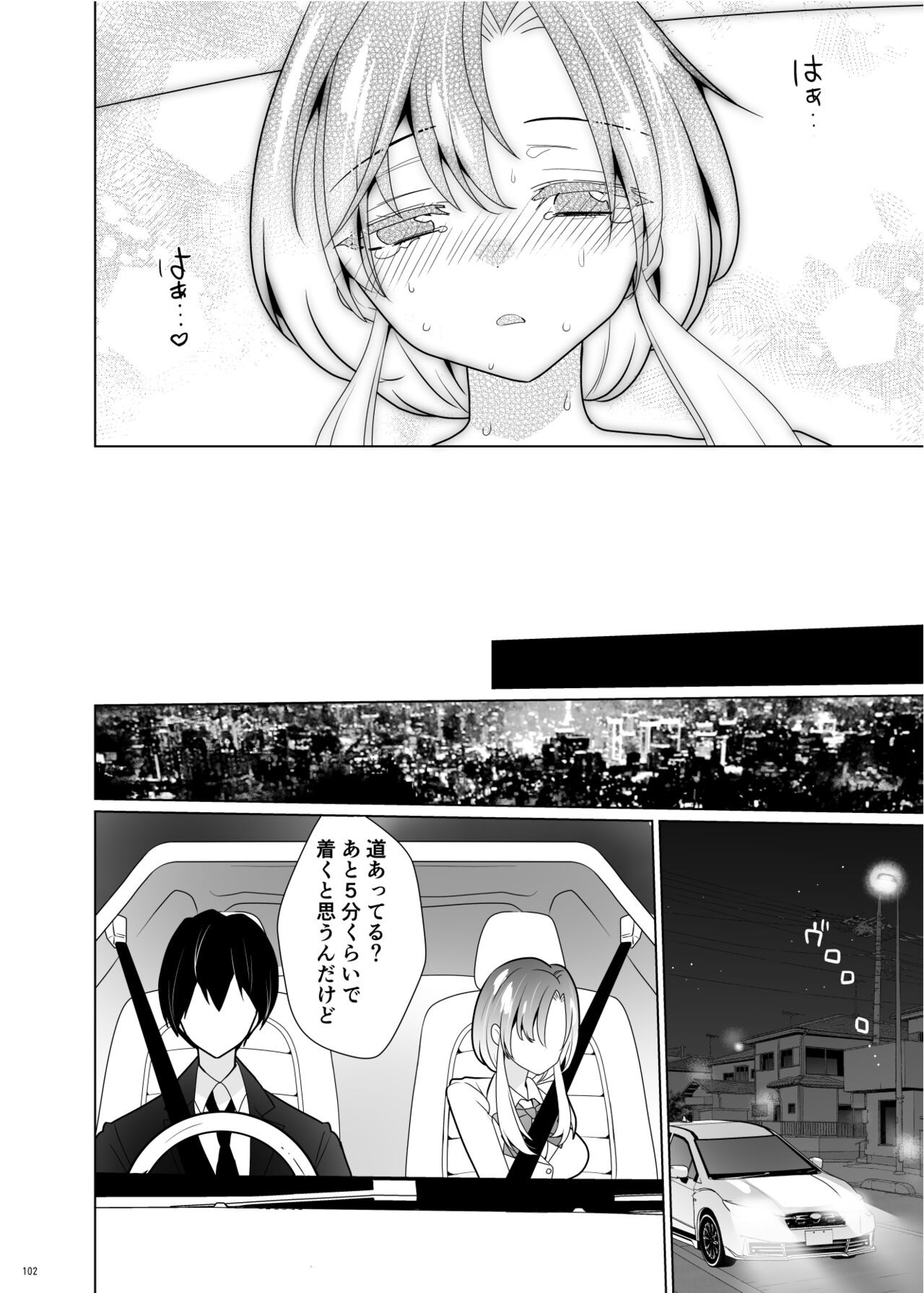 Page 101