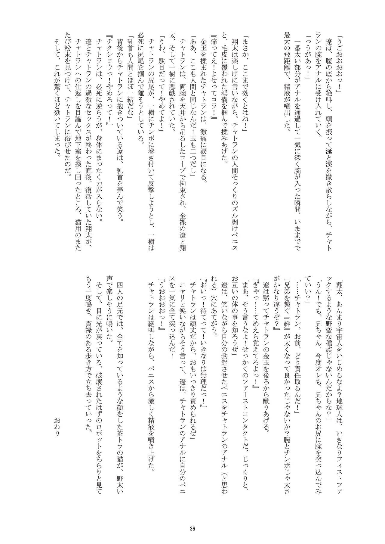 Page 37