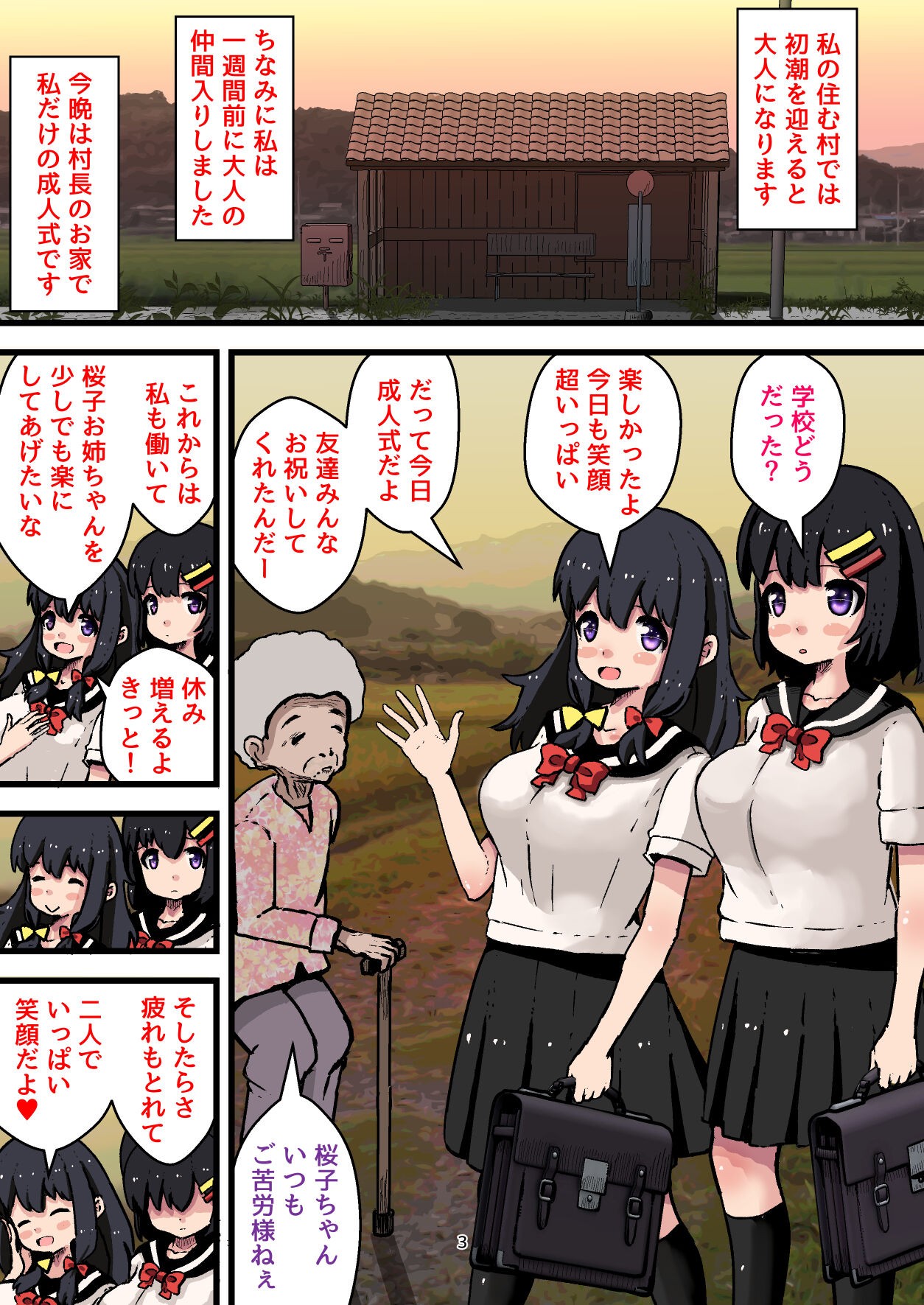 Page 3