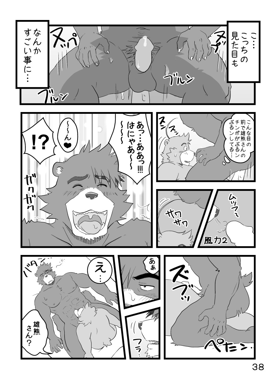 Page 41