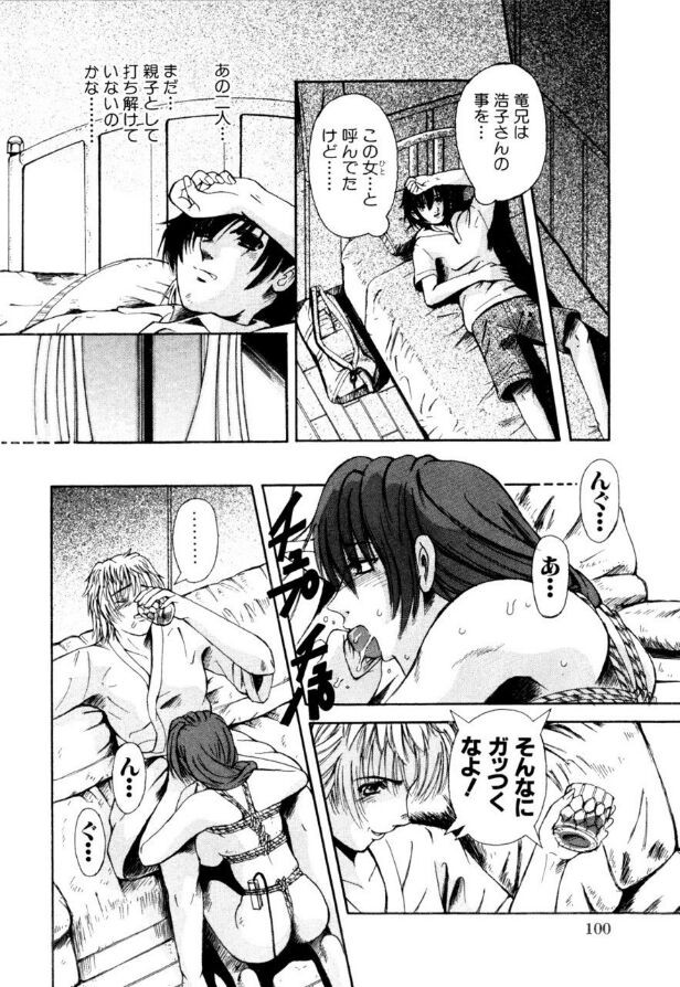 Page 101