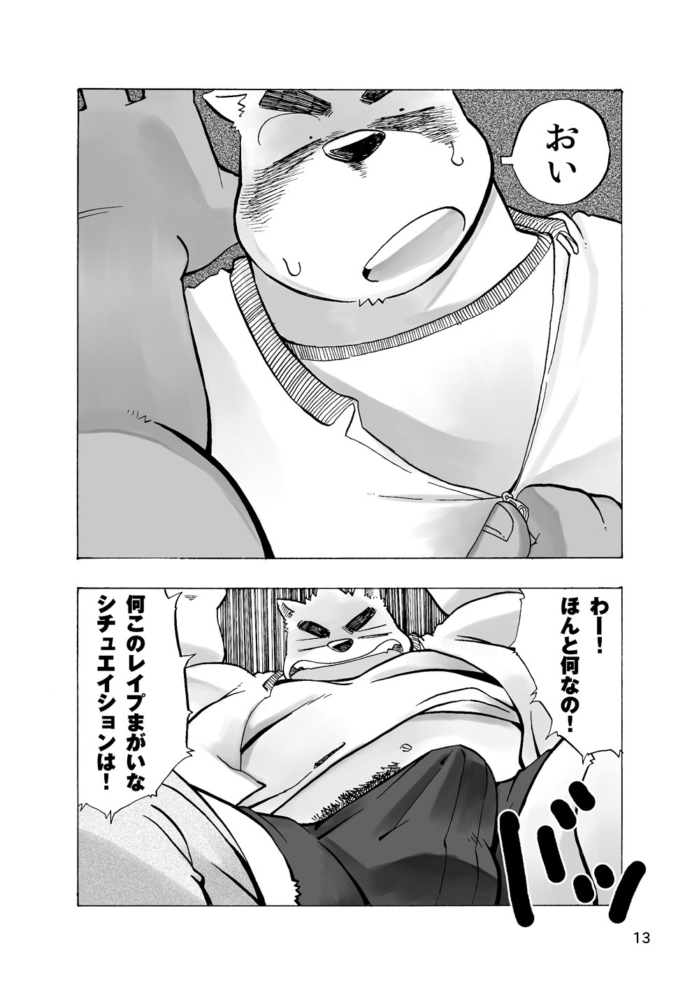 Page 13