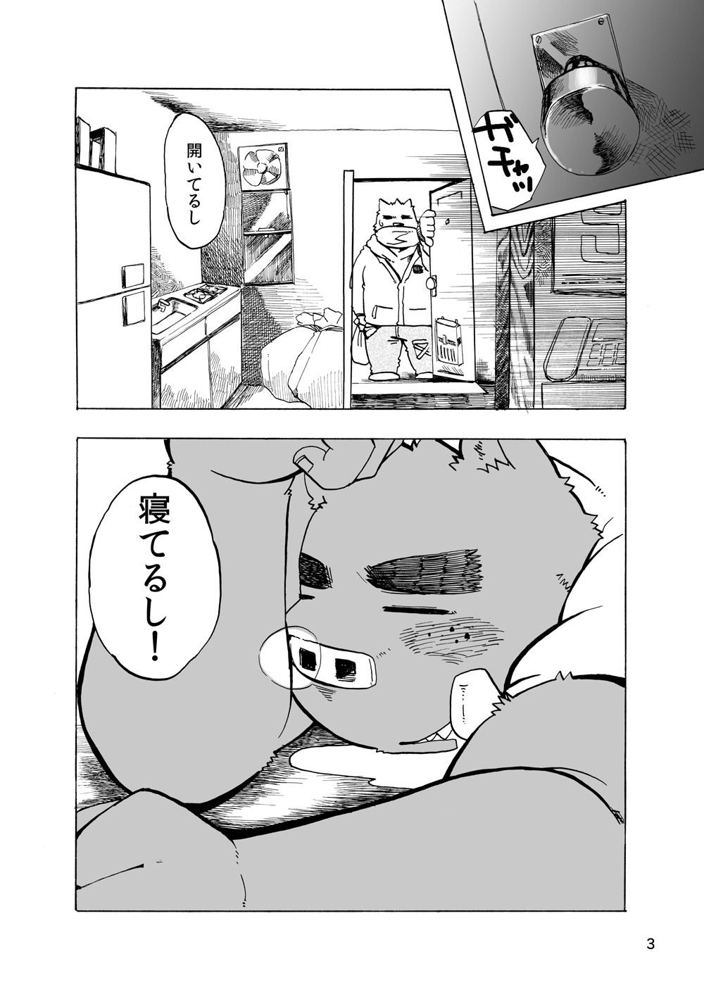 Page 3