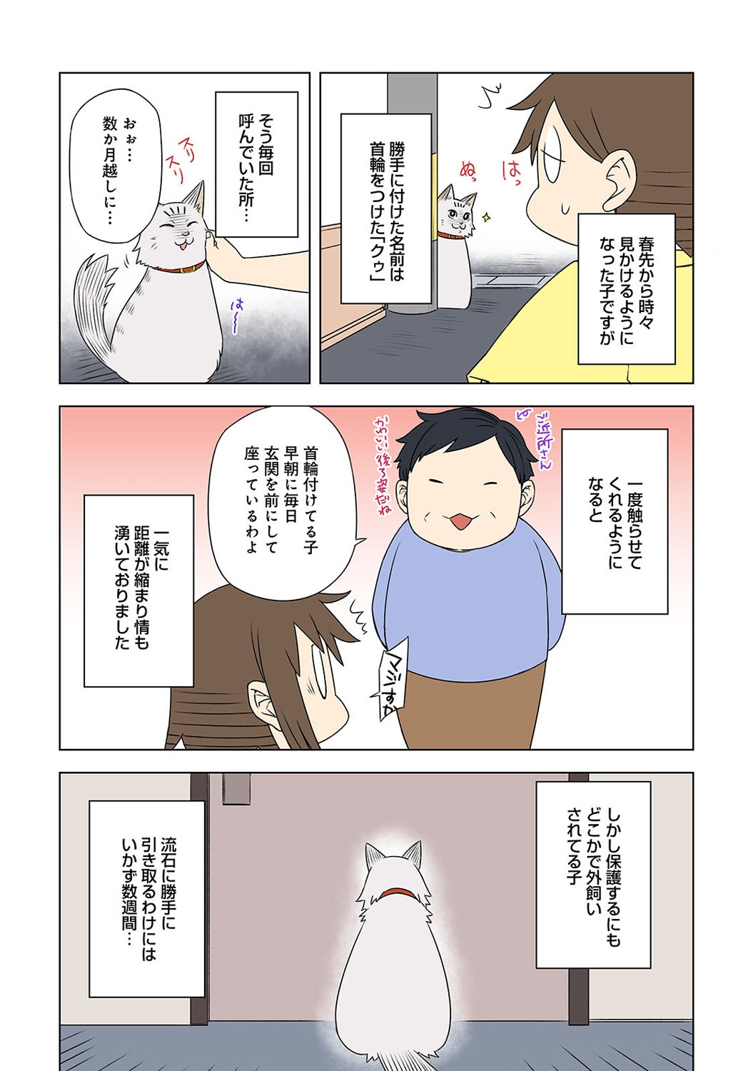 Page 294