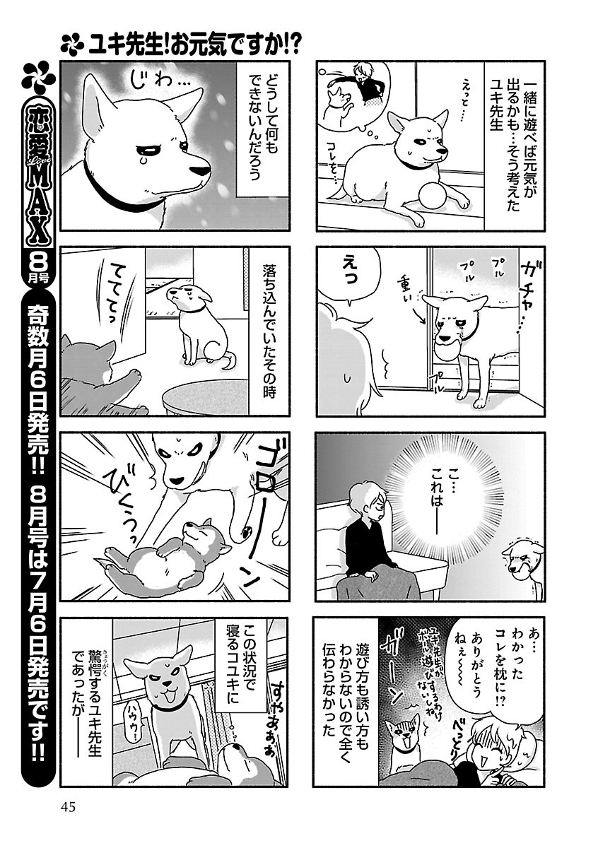 Page 45