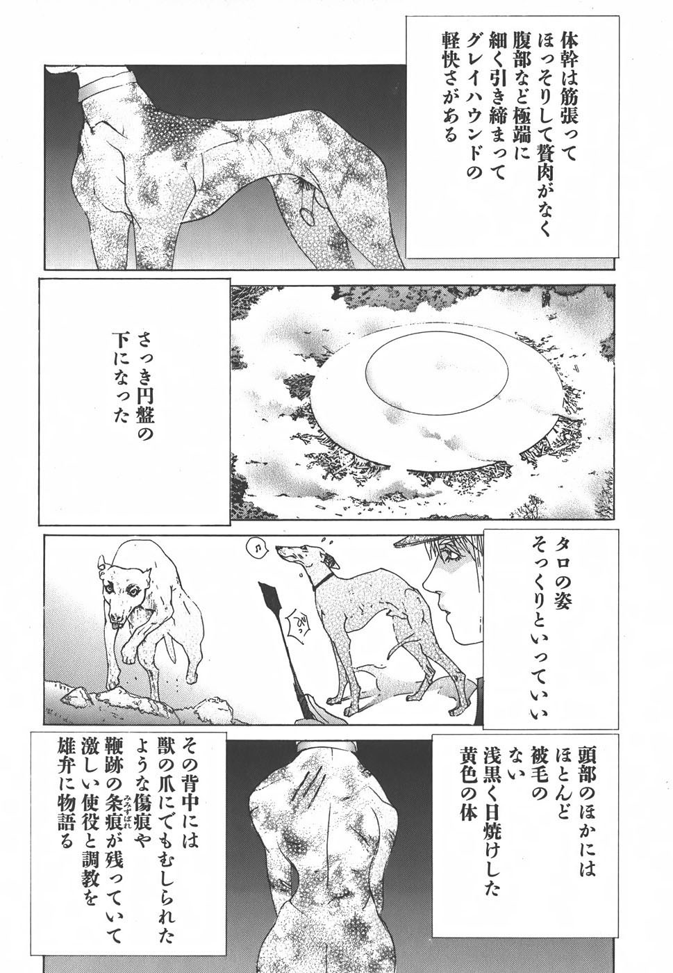 Page 167