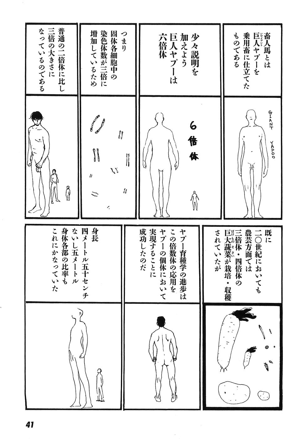 Page 46