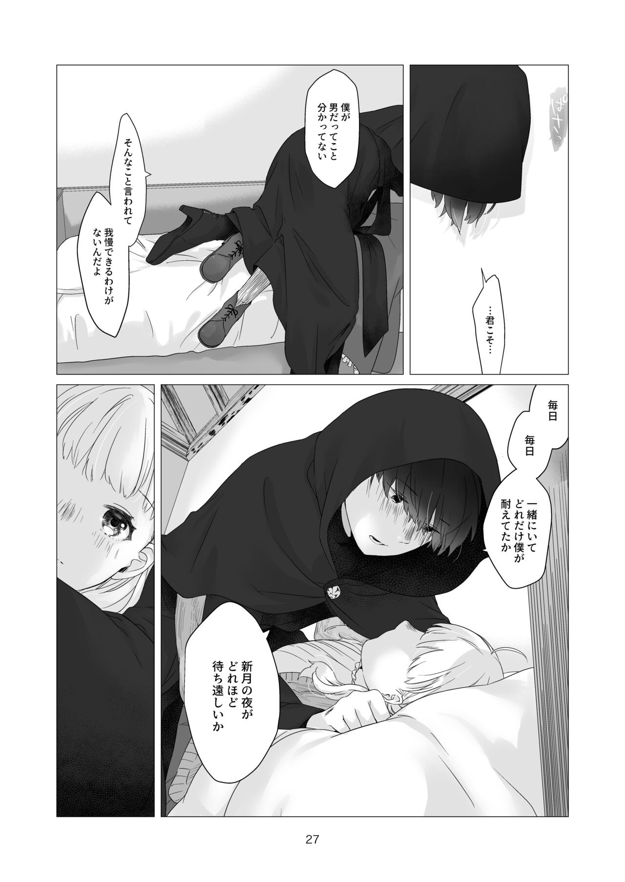 Page 27