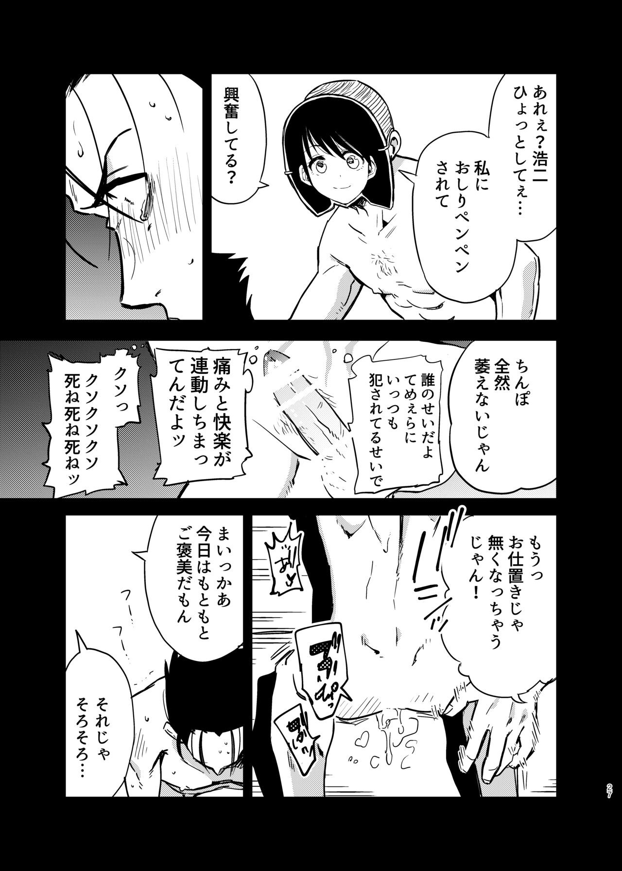 Page 27