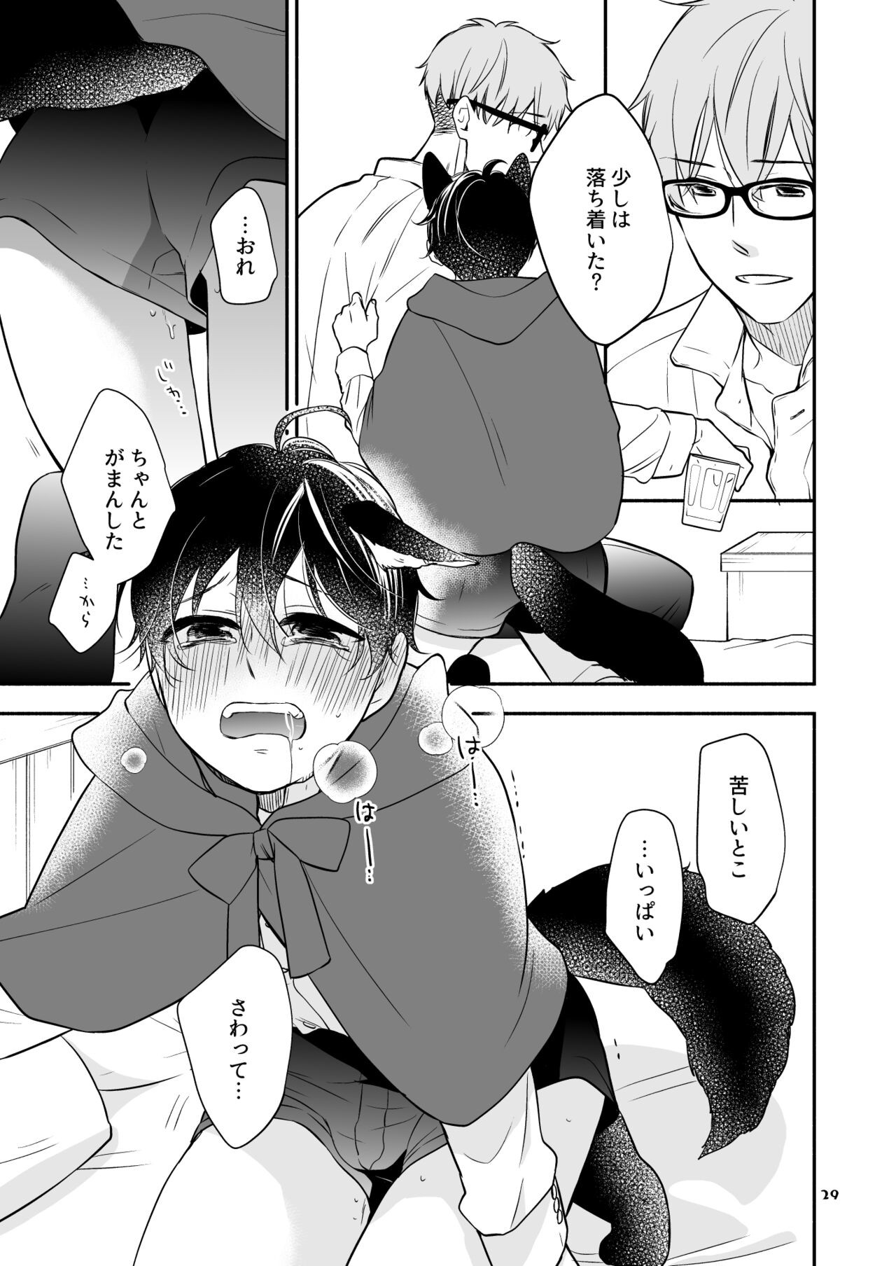 Page 29