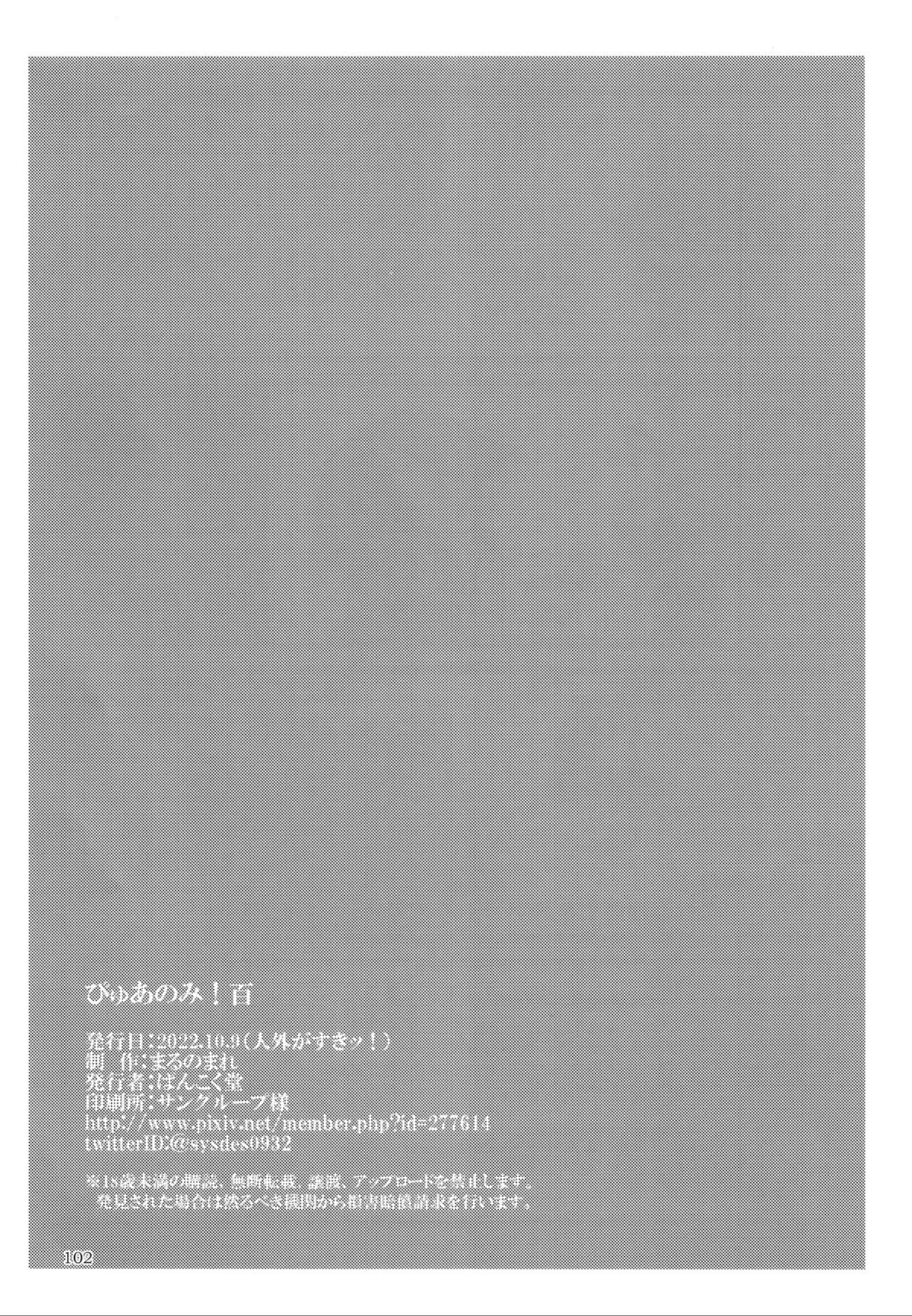 Page 101