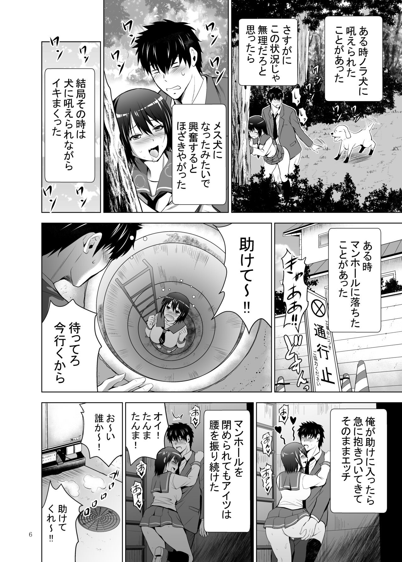 Page 6