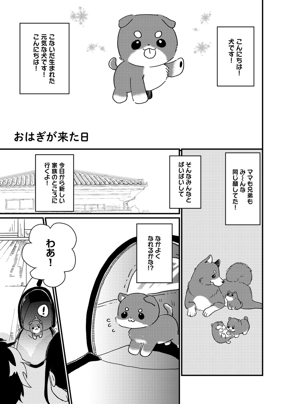 Page 205