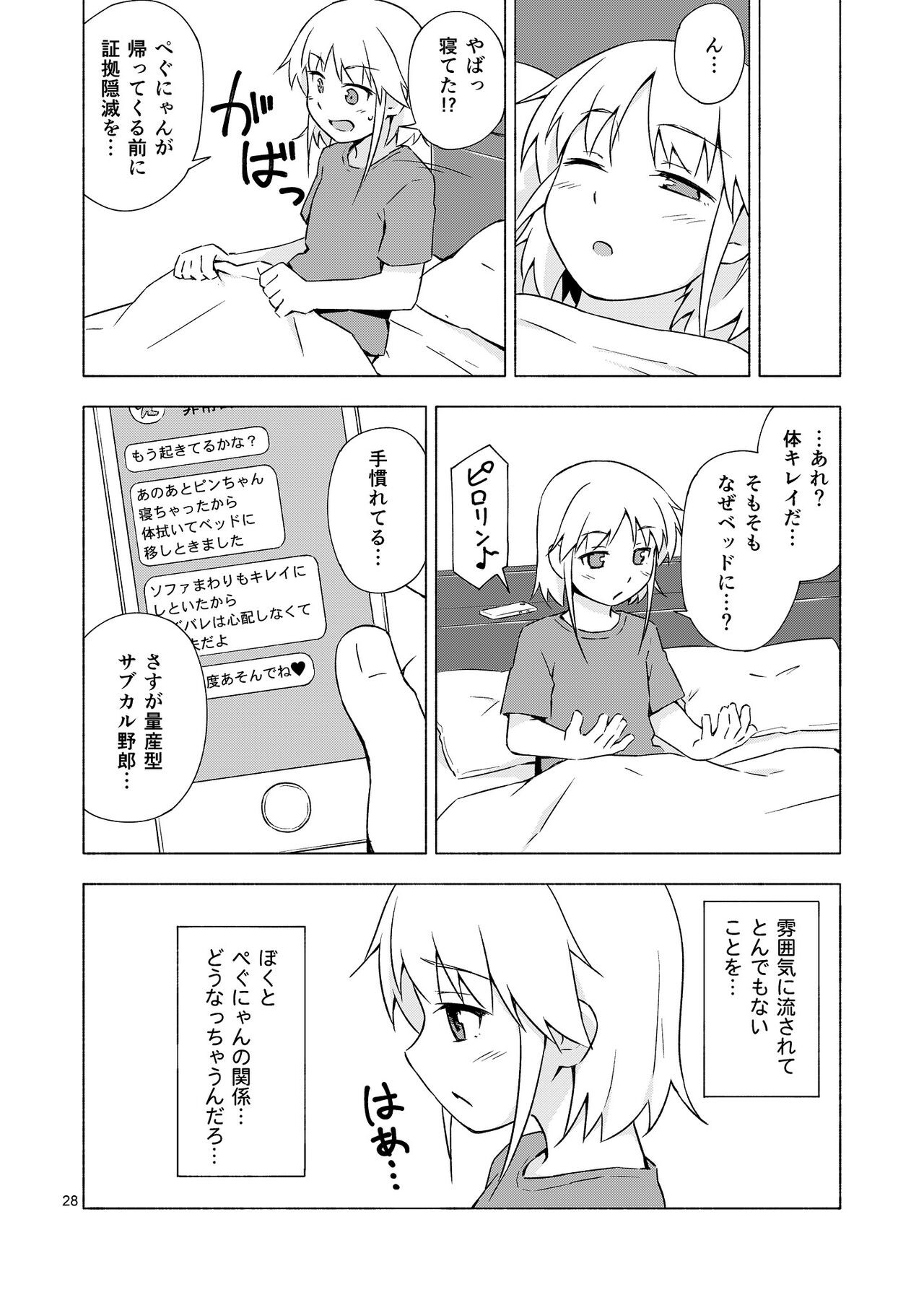 Page 27