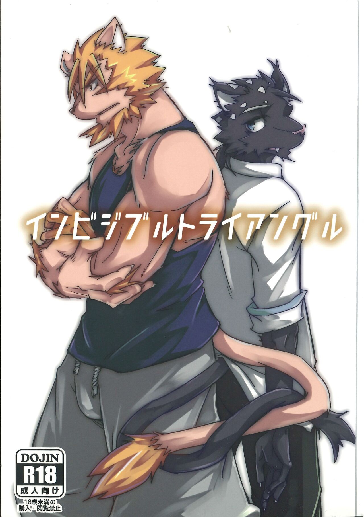 (関西けもケット6) インビジブルトライアングル