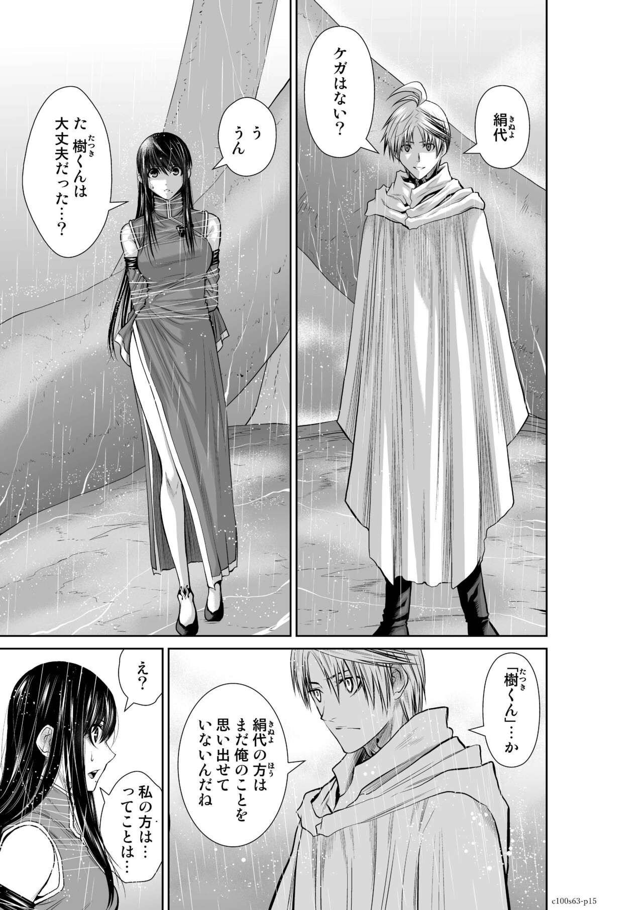 Page 101