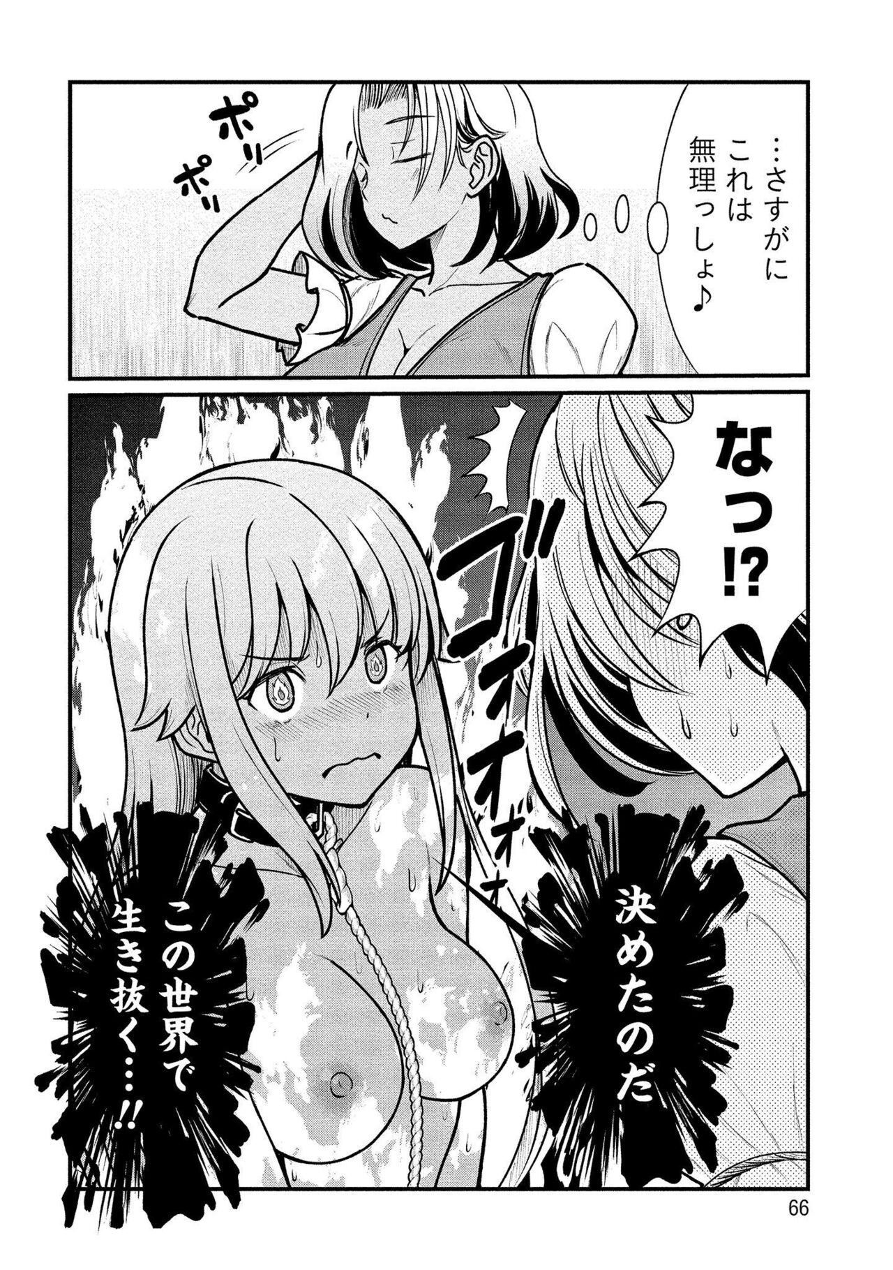 Page 66
