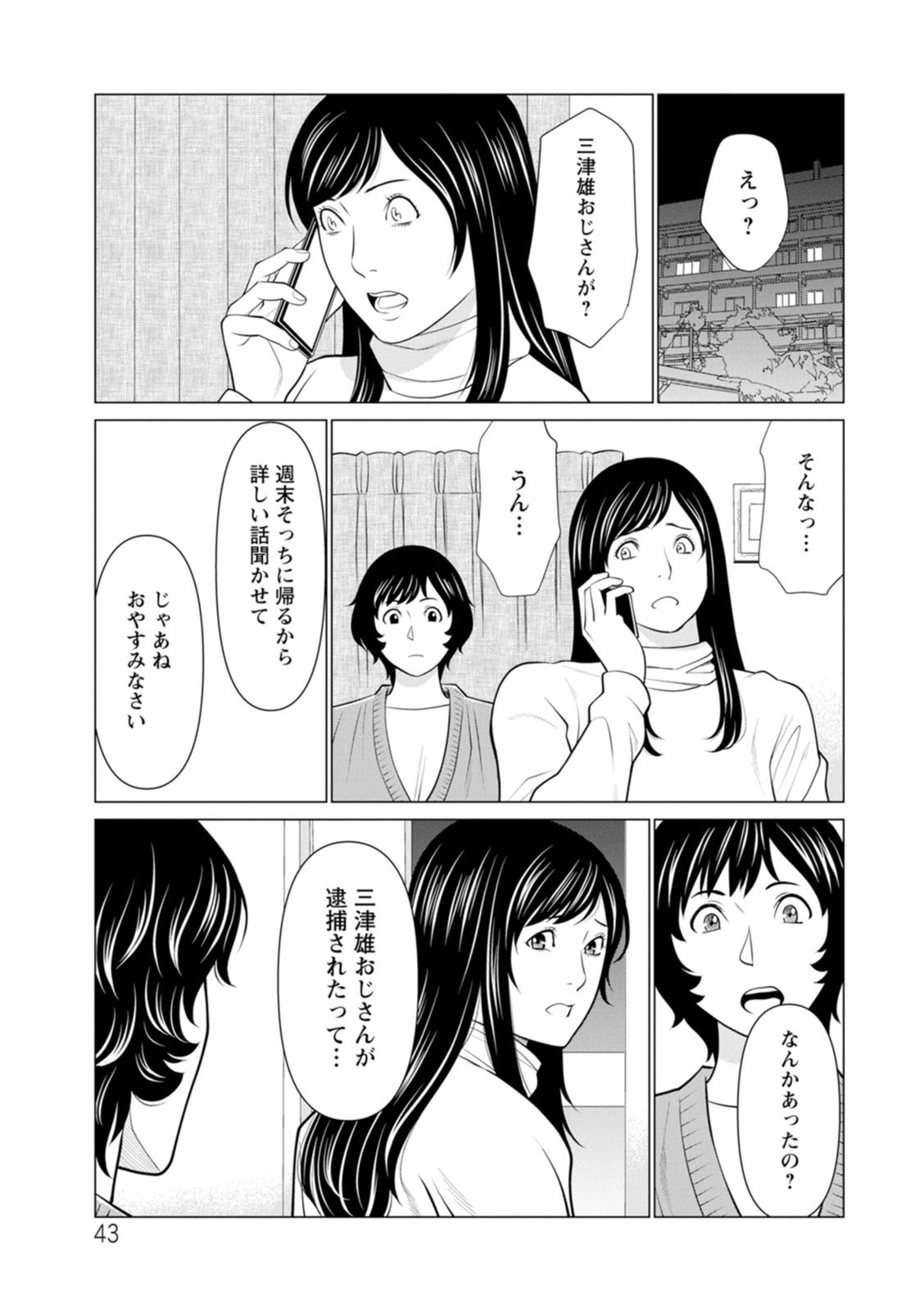 Page 43