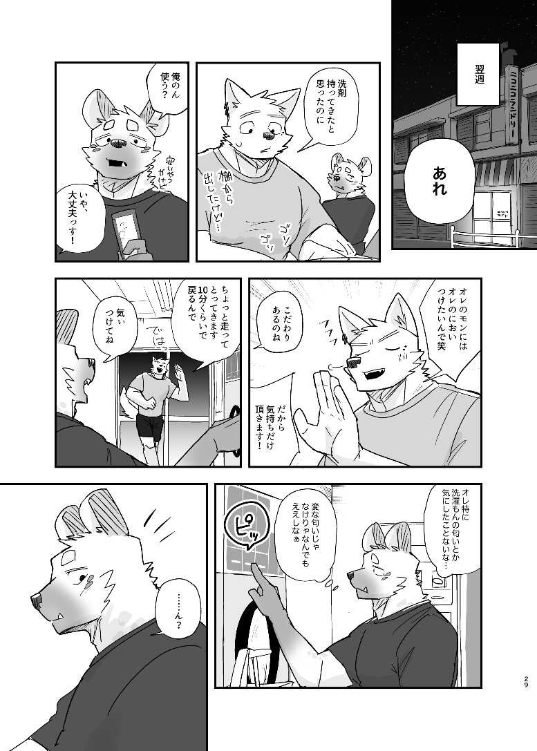 Page 29