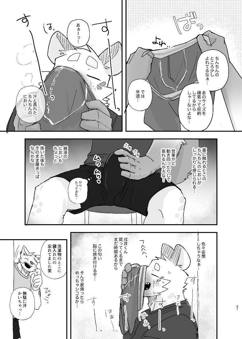 Page 31