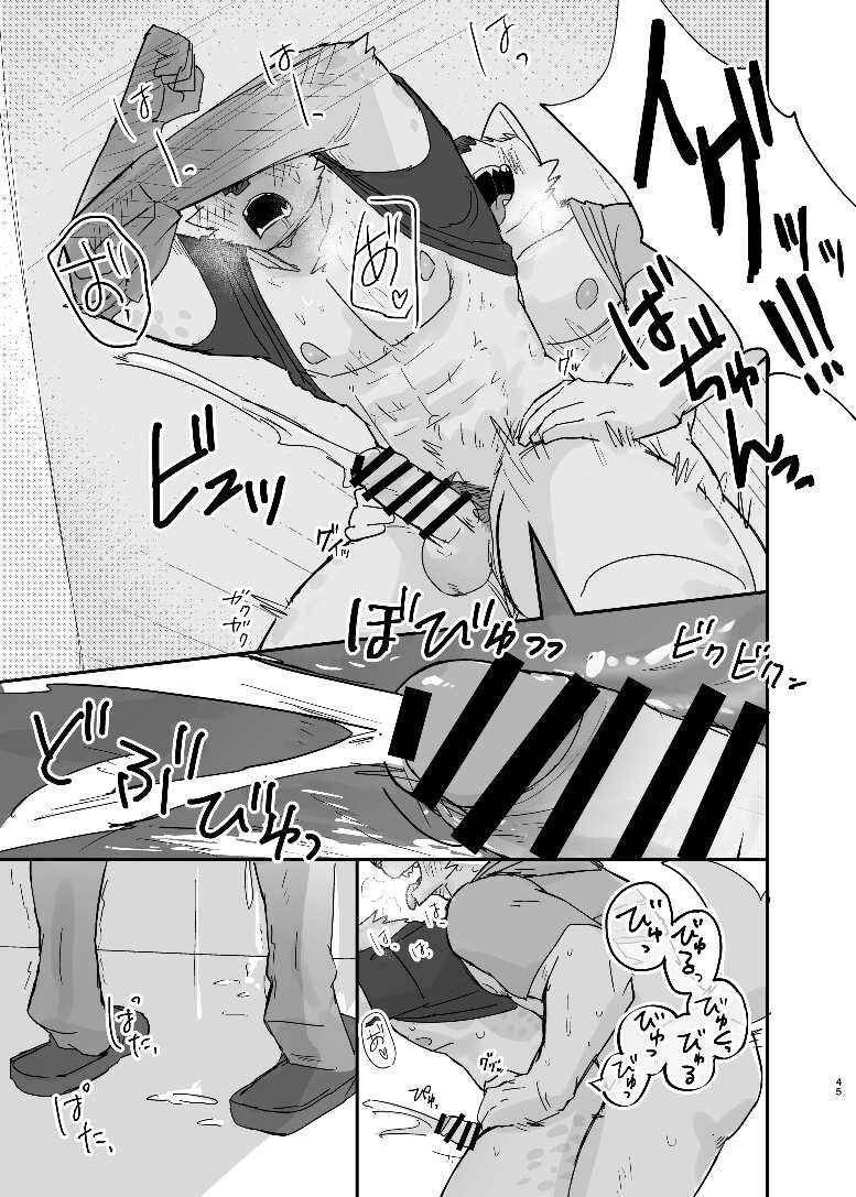 Page 45