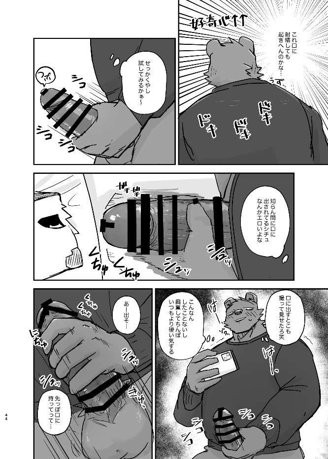 Page 43