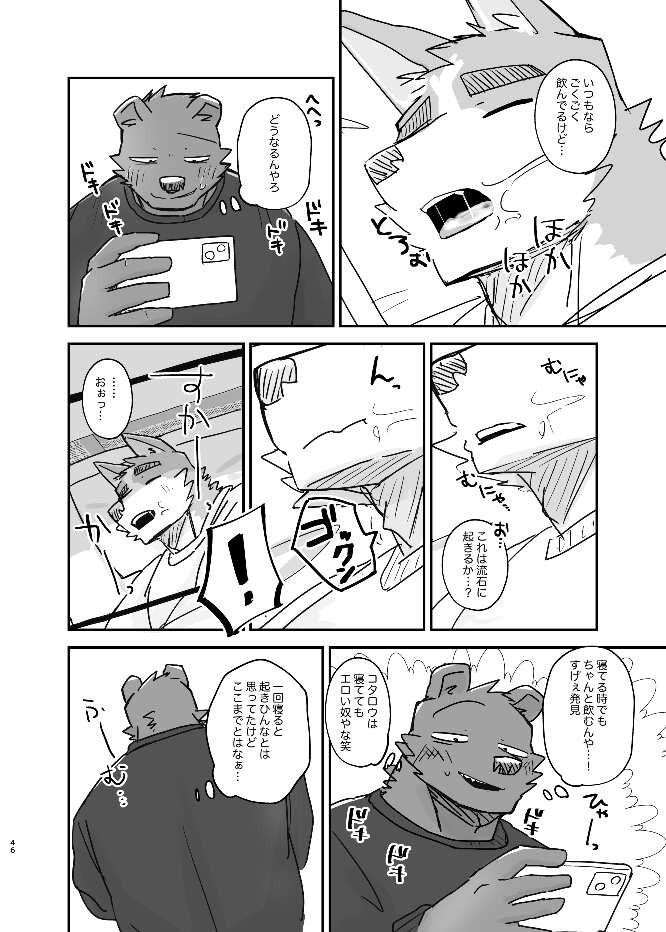 Page 45