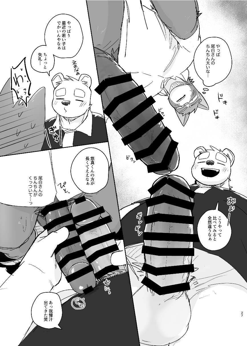 Page 27